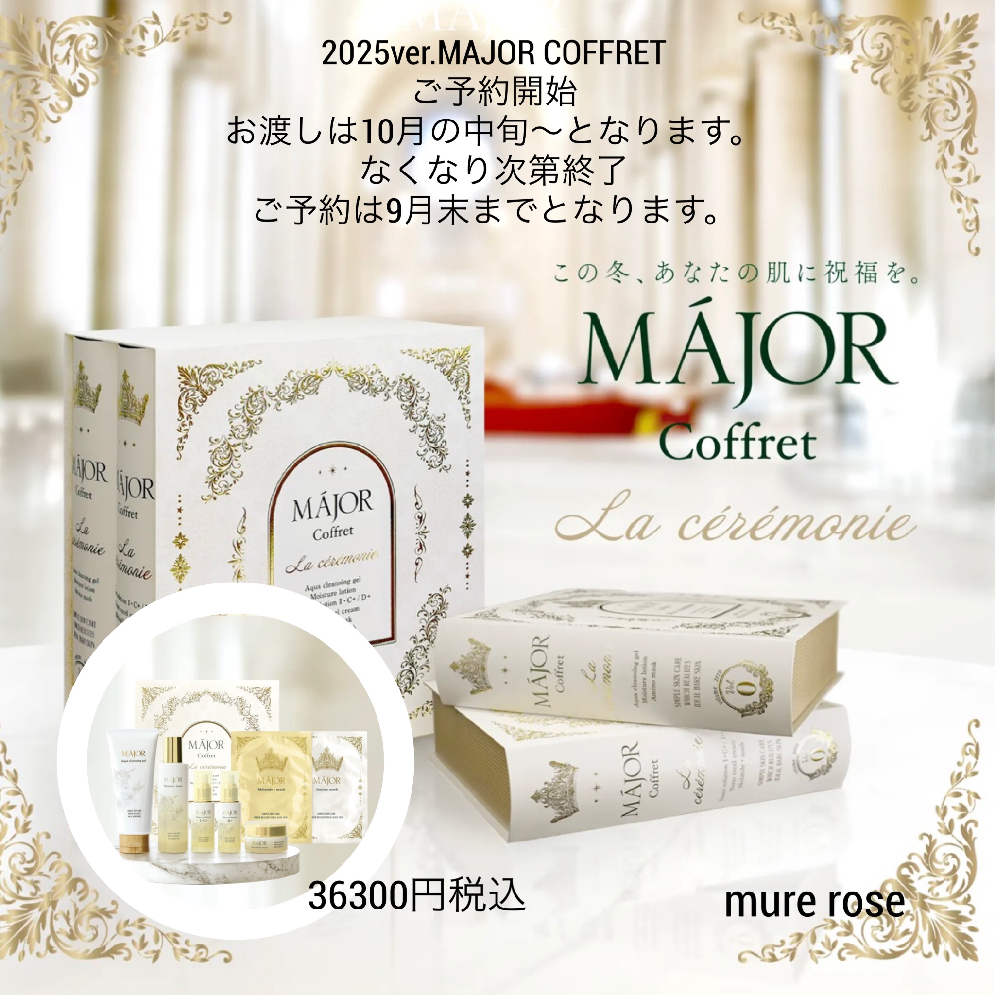 MAJOR True Beauty Coffret トライアルセット MAJOR True Beauty Coffret トライアルセット EXSEEDS JAPAN OFFICIAL